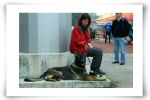 Working-lines-dog-outsid.jpg