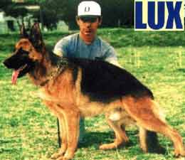 Bolivian Sieger Lux v Julsi