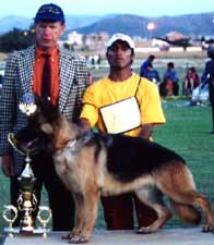 Bolivia Sirgerin Suecia