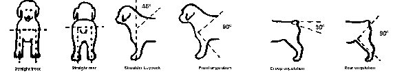 puptest.gif (2483 bytes)