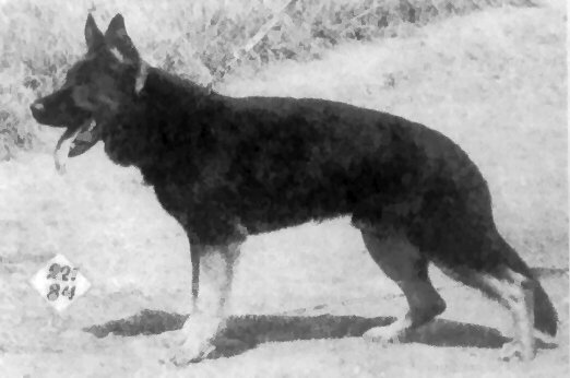 held.jpg (51028 bytes)