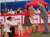 Chengdu 2nd Res BPIS