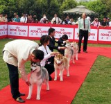 judging a class of young Siberians in Chengdu-2007