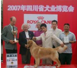 Reserve BIS Puppy at Chengdu