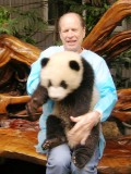 wresting with a 4-month old panda