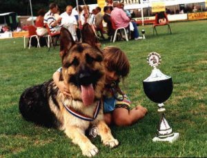 German Shepherd Dog Image