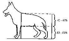 anatomy2.jpg (4311 bytes)