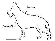 anatomy3.jpg (3560 bytes)