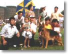 Foshan Best Local bred GSD Apr 03.jpg