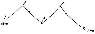 Introducting Dogs To Tracking - Allison A. Platt.
