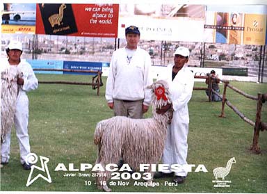 Fred presenting award to a Suri Alpaca Peru 2003