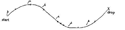 Introducting Dogs To Tracking - Allison A. Platt.