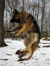 jump