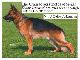 V13 Zello Arkanum