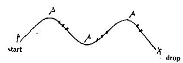 Introducting Dogs To Tracking - Allison A. Platt.