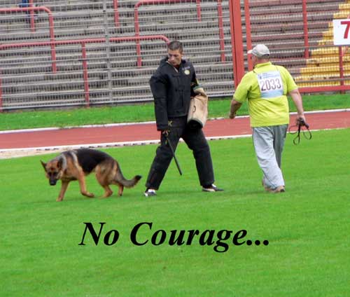 Will the True Working Dog Disappear?