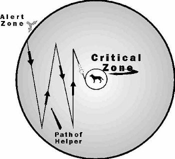PREY BEHAVIOR