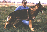 harro.gif (12132 bytes)